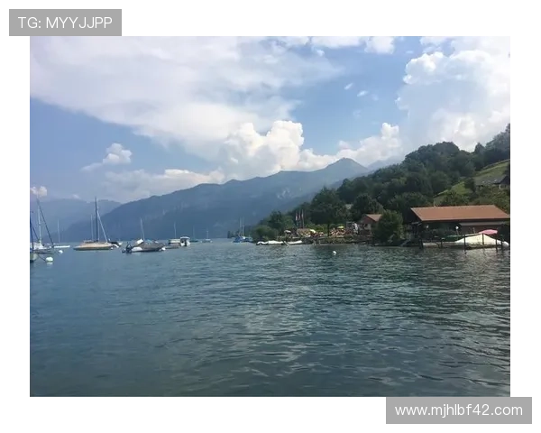 7. PUPG官方地址导航详细解析帮助玩家轻松找到正确的游戏入口避免误入非法网站 7. PUPG官方地址导航详细解析帮助玩家轻松找到正确的游戏入口避免误入非法网站