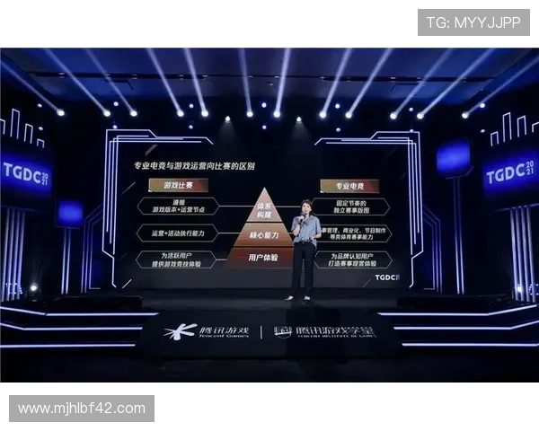 专业PG电子游戏维护流程详解，助力游戏运营方提升平台稳定性与用户满意度